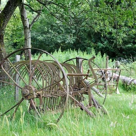 Hendre Aled Cottage 1 Llansannan 外观 照片